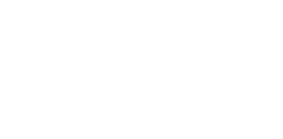 Logo Montes Wines