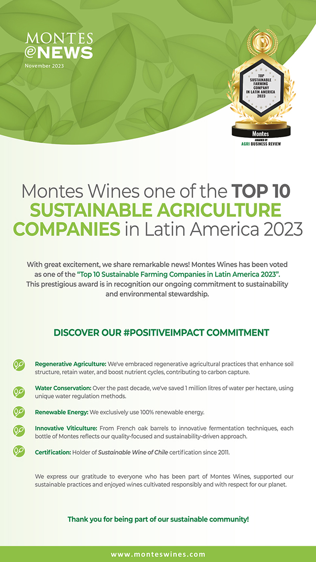Montes Wines I Chile I Colchagua Valley: Monteswines.com